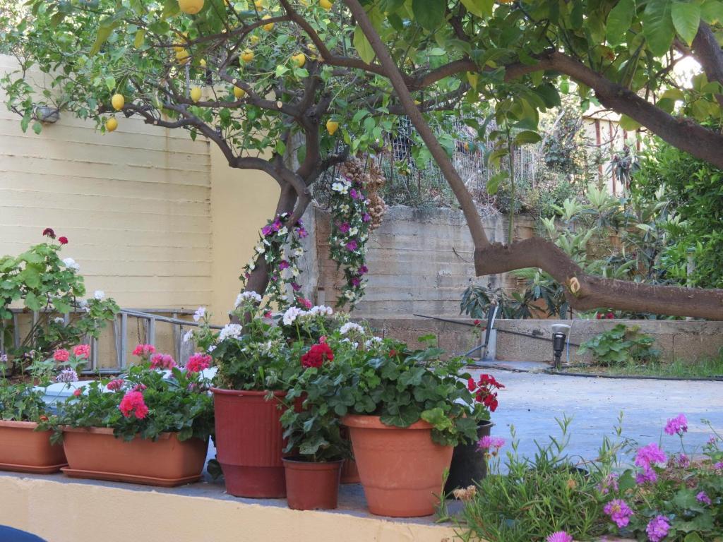 La Luna Apartments Stalida Exterior photo